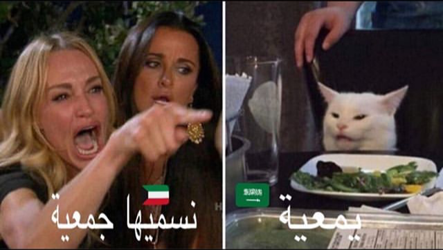 Smudge the cat meme Bahrain