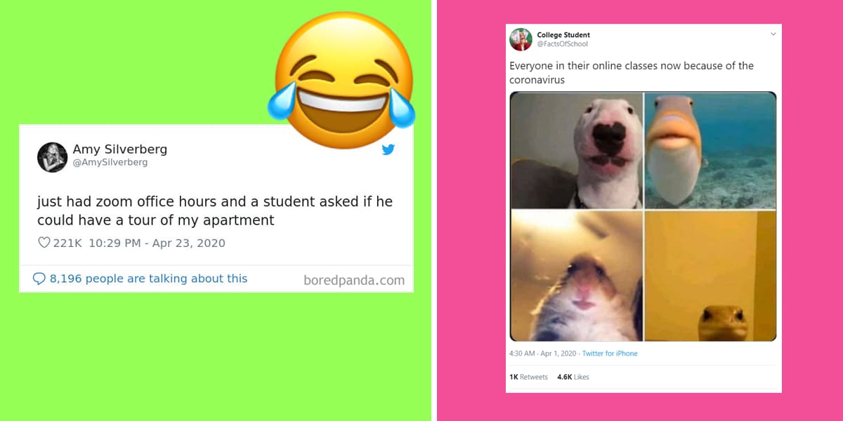 13 Funny Memes About Online Classes In 2020 That'll Give You A Good Laugh  Today | Local Bahrain