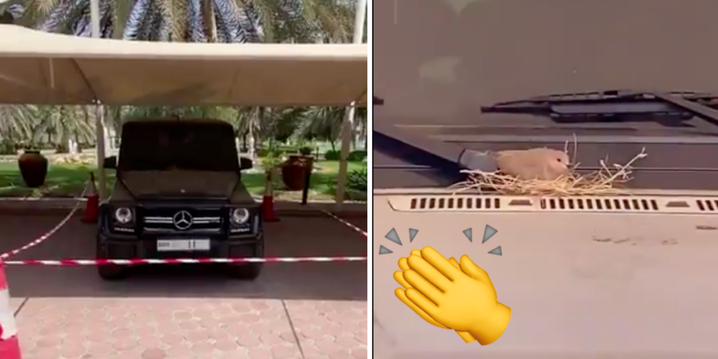 WATCH: A Sweet Video By The Crown Prince Of Dubai Showing A Nesting Bird On His G Wagon