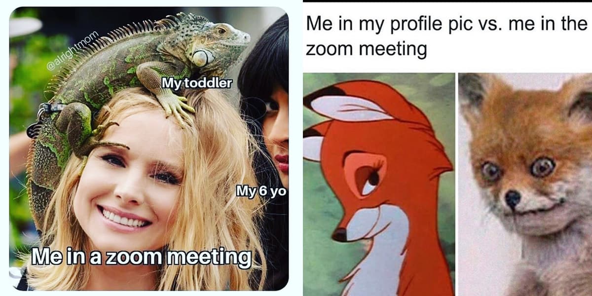 Zoom Memes About Our Everyday Struggles