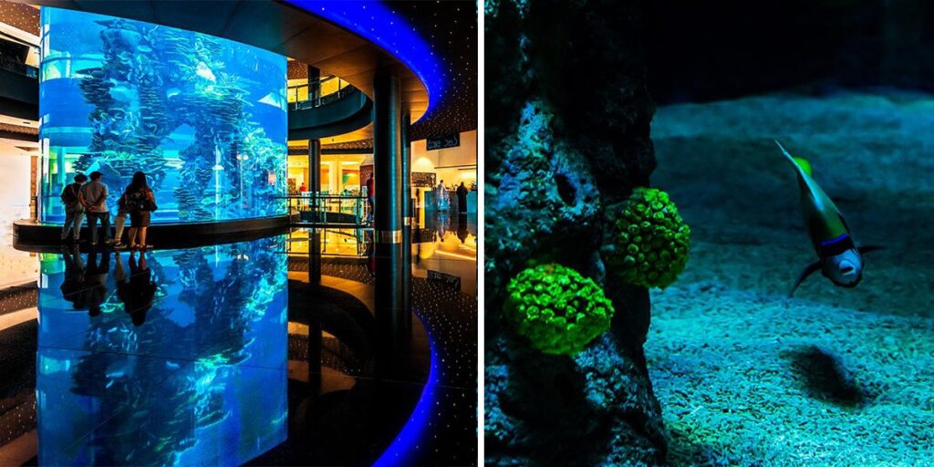 If You Haven’t Seen The Largest Indoor Aquarium In Bahrain Yet, Here It Is