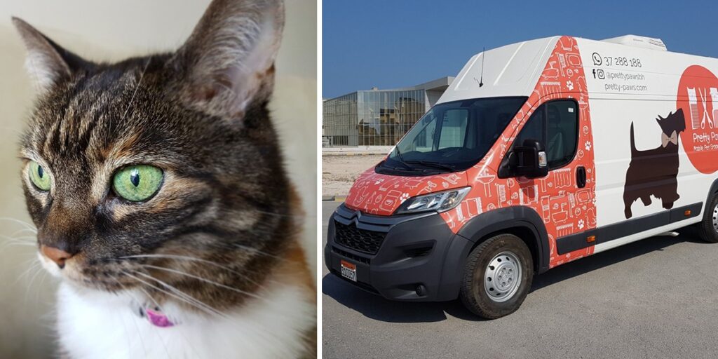 Your Pets Probably Need Some Pampering & This Spa On Wheels Is Your Best Bet