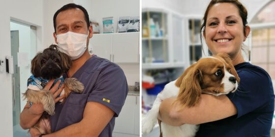 13 Vets in Bahrain Every Pet Owner Needs to Know About
