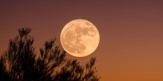 There’s a Pink Full Moon Tonight & You Can Observe It From Bahrain