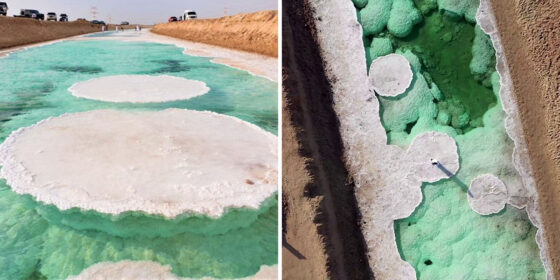 Another Day, Another Wonder: You Need to See This Salt Lake in Abu Dhabi