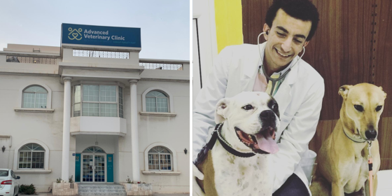 This Veterinary Clinic Is Meant for All Your Fur-Baby’s Needs