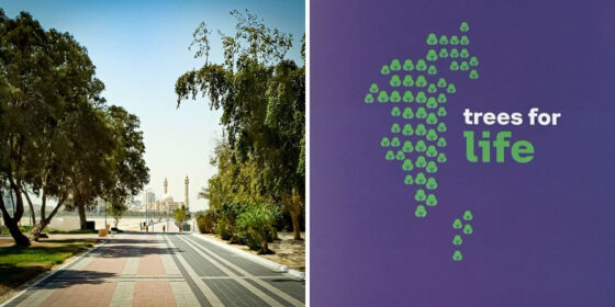 stc Just Launched the Largest Campaign to Help Make Bahrain Green