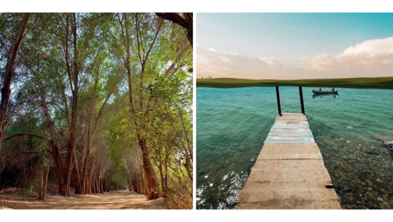 Check Out These 10 Stunning Photos of Karzakan Forest and Beach