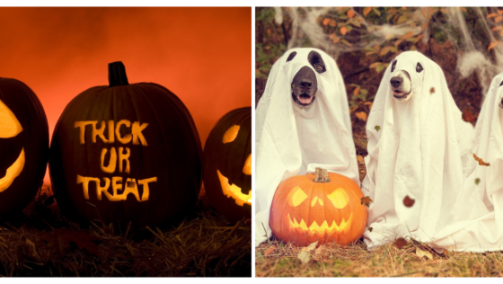 Put On Your Best Costumes! Here Are 8 Halloween Parties Happening In Bahrain