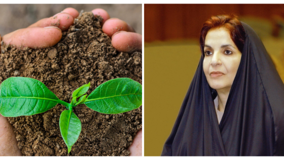 Getting Green: Bahrain to Plant More Than 50,000 Trees and Shrubs!