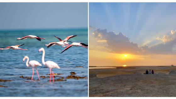 Check Out These 8 Stunning Photos Taken at Hawar Islands