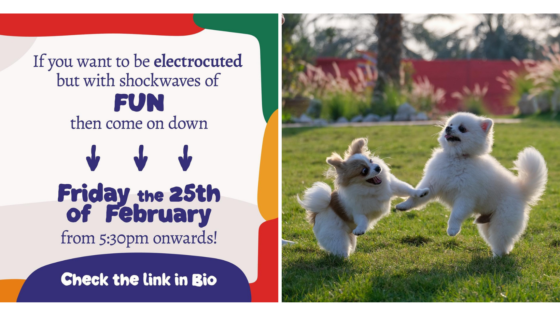 Enjoy Live Music and Great Weather With Your Furry Buddies at This Spot in Bahrain