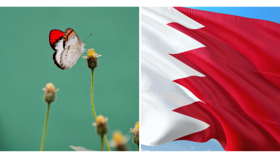 A First: Bahrain May Soon Get Its Very Own Butterfly & Flower Garden