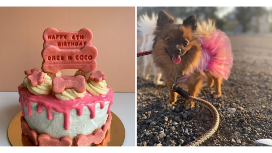 It’s World Pet Day and Here Are 10 Local Businesses for Our Little Best Friends