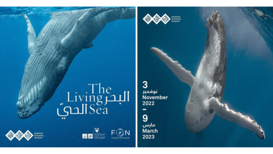 Check Out This Underwater Photography Exhibition at Bahrain National Museum