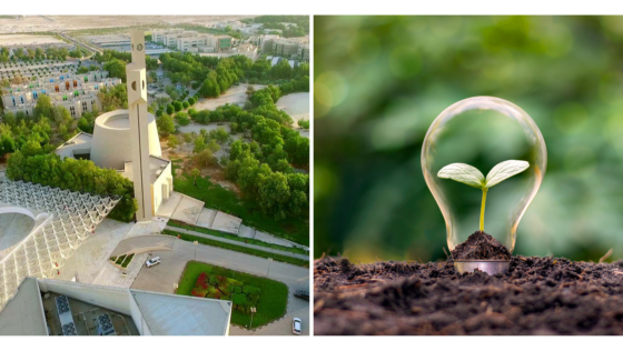 University of Bahrain Ranks First in the Kingdom for Sustainable Development