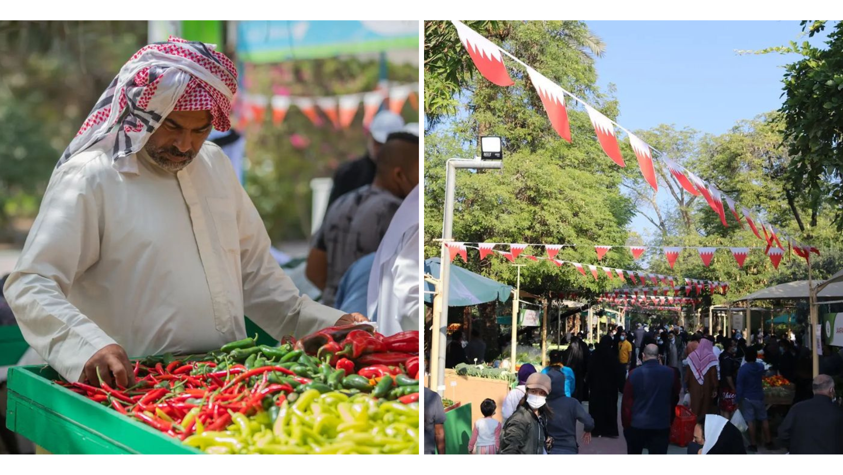 Farmers market in bahrain 2022