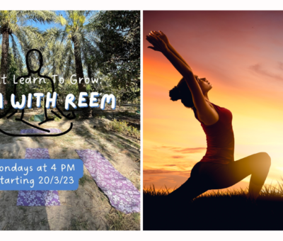 outdoor yoga in Bahrain, yoga in bahrain, ramadan things to do in bahrain, ramadan activities in bahrain, localbh