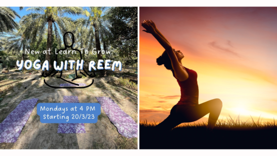 Unwind, Meditate, & Connect with Nature with the Ultimate Ramadan Yoga Experience in Bahrain