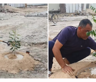 tree-planting campaign, Al-Mazara neighborhood, youth initiative, community action, gardening adventure, environmental transformation, plants in bahrain, green bahrain, planting campaign in bahrain, local bahrain, localbh, trees in bahrain, deforestation in bahrain, community in bahrain, bahrain trees, bahrain community, bahrain, damistan, bahrain farms, bahraini farmers, farmers in bahrain, farms in bahrain