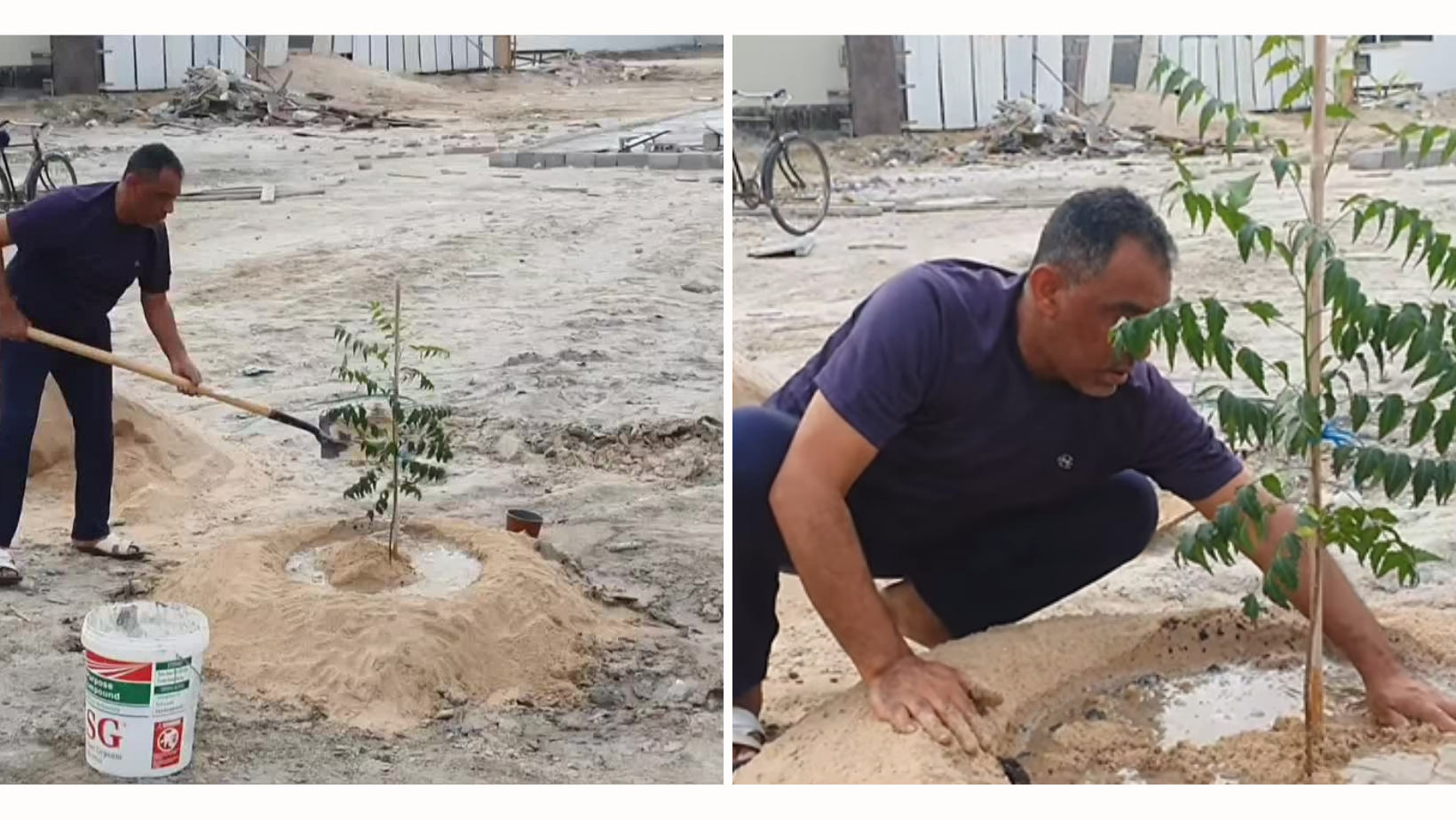 tree-planting campaign, Al-Mazara neighborhood, youth initiative, community action, gardening adventure, environmental transformation, plants in bahrain, green bahrain, planting campaign in bahrain, local bahrain, localbh, trees in bahrain, deforestation in bahrain, community in bahrain, bahrain trees, bahrain community, bahrain, damistan, bahrain farms, bahraini farmers, farmers in bahrain, farms in bahrain