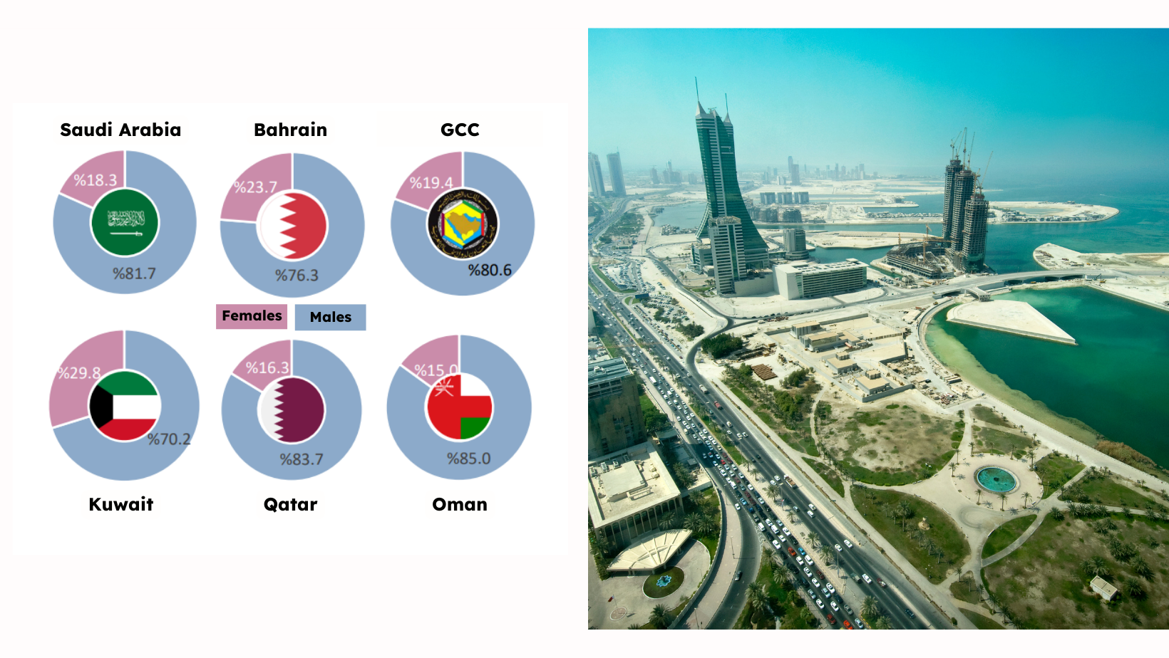 Bahrain, female workers, employment, gender equality, Arab Gulf countries, GCC Statistics, localbh, local bahrain