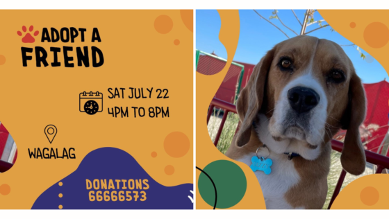 Find Your New Furry Bestie at Wagalag’s ‘Adopt a Friend’ Open Day!