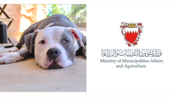 Bahrain Enforces Import Ban on 17 Predatory Animals and 4 Dog Breeds, Including Pitbulls