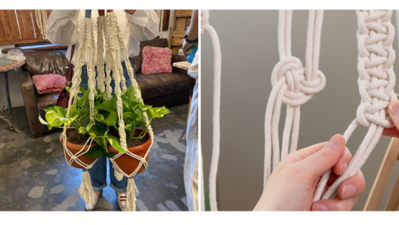 Get Crafty with Macrame! Learn to Make Vibrant Plant Hangers in this Beginner Workshop