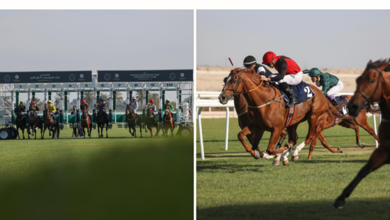 Get Ready! Bahrain’s 2023/2024 National Horse Racing Season Is Here