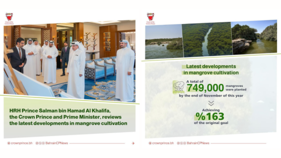 A Greener Bahrain! 749K Mangrove Trees Were Planted in the Kingdom in 2023