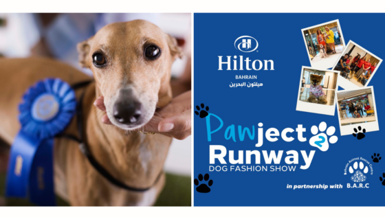 There’s an Adorable Dog Fashion Show Happening in Bahrain & It’s for a Great Cause!