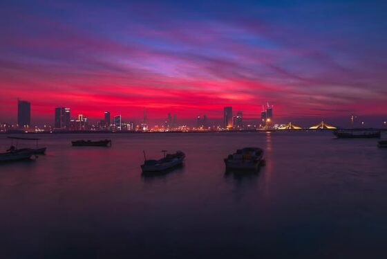 Bahrain’s Iconic Dolphin Resort Has Been Demolished, Here’s What We Know About the Animals