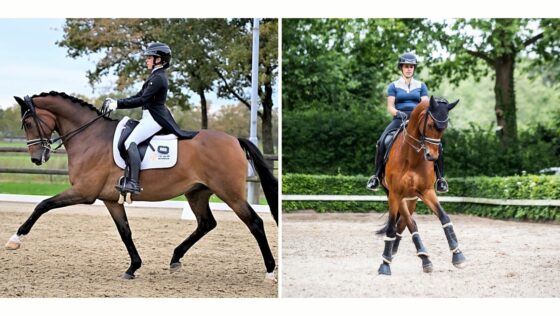 Rising Star! Bahraini Dressage Rider Aneesa Al Mahmood Shines in Europe and Heads to Asian Championships